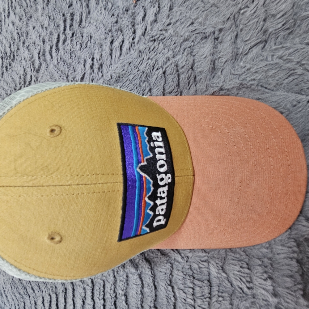 Patagonia Two-Tone Cap